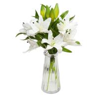 uploads/erp/collection/images/Home Garden/CongDing/XU0612523/img_b/XU0612523_img_b_5
